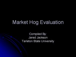 Market Hog Evaluation Compiled By Jared Jackson Tarleton