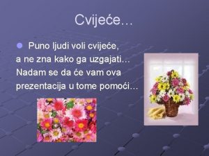 Cvijee Puno ljudi voli cvijee a ne zna