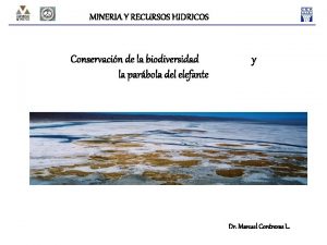 MINERIA Y RECURSOS HIDRICOS Conservacin de la biodiversidad