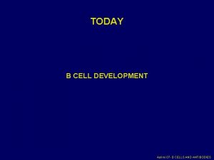 TODAY B CELL DEVELOPMENT Asilmi 07 B CELLS