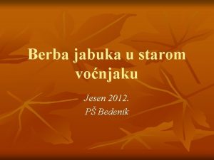 Berba jabuka u starom vonjaku Jesen 2012 P