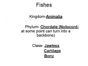 Fishes KingdomAnimalia Phylum Chordate Notocordat some point can