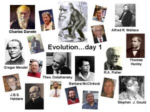 Alfred R Wallace Charles Darwin Evolutionday 1 Thomas