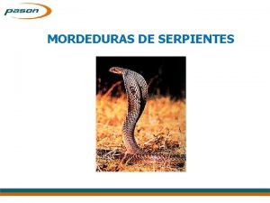 MORDEDURAS DE SERPIENTES CLASIFICACIN DE LOS OFIDIOS SEGN