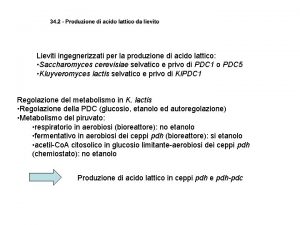 Lieviti ingegnerizzati per la produzione di acido lattico