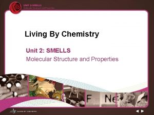 Living By Chemistry Unit 2 SMELLS Molecular Structure
