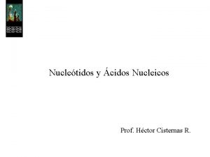 Nucletidos y cidos Nucleicos Prof Hctor Cisternas R