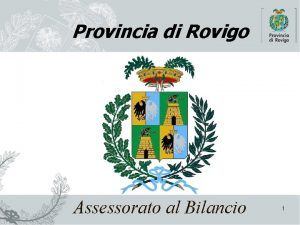 Provincia di Rovigo Assessorato al Bilancio 1 Bilancio