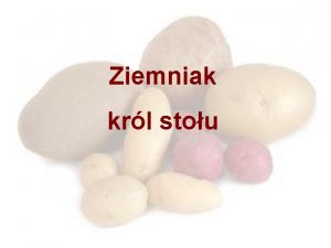 Ziemniak krl stou Ziemniak to gatunek byliny nalecy
