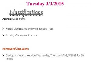 Tuesday 332015 Classifications Agenda Cladograms Notes Cladograms and