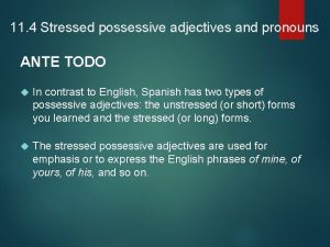 11 4 Stressed possessive adjectives and pronouns ANTE
