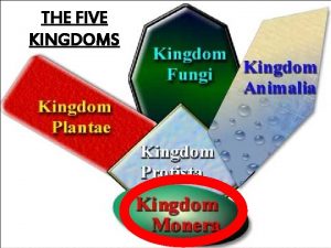 THE FIVE KINGDOMS 1 Introduction to Bacteria 2