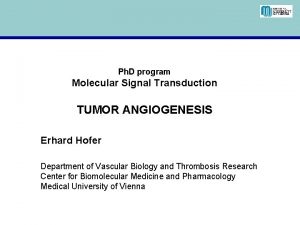 Ph D program Molecular Signal Transduction TUMOR ANGIOGENESIS