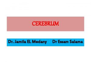 CEREBRUM Dr Jamila EL Medany Dr Essam Salama