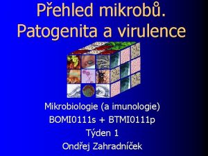 Pehled mikrob Patogenita a virulence Mikrobiologie a imunologie