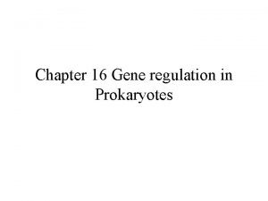 Chapter 16 Gene regulation in Prokaryotes Gene expression