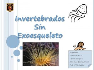 Invertebrados Sin Exoesqueleto Integrantes Ivanna Pasten P Evelyn