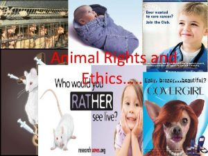 Animal Rights and Ethics Ethics and Animal Rights