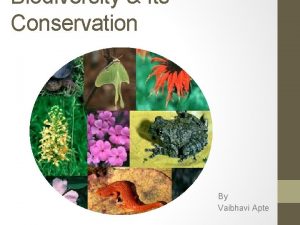 Biodiversity Its Conservation By Vaibhavi Apte Biodiversity Diversity
