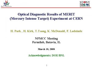 Optical Diagnostic Results of MERIT Mercury Intense Target
