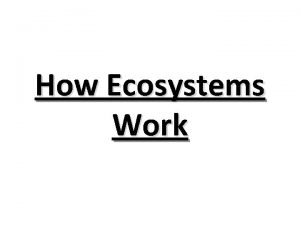 How Ecosystems Work Life Depends on the Sun