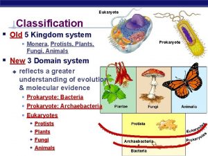 Eukaryote Classification Old 5 Kingdom system Prokaryote Monera