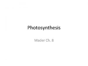 Photosynthesis Mader Ch 8 Photosynthetic Organisms Algae Plants