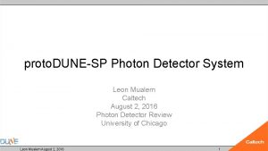 proto DUNESP Photon Detector System Leon Mualem Caltech