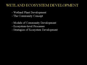 WETLAND ECOSYSTEM DEVELOPMENT Wetland Plant Development The Community