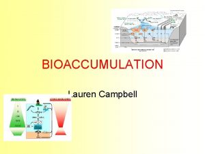 BIOACCUMULATION Lauren Campbell What Is Bioaccumulation Bioaccumulation is