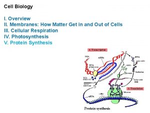 Cell Biology I Overview II Membranes How Matter