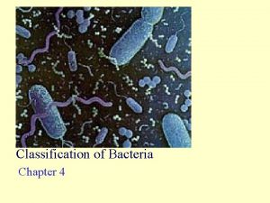 Classification of Bacteria Chapter 4 Taxonomy Systematics Identification