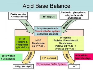 Acid Base Balance Carbonic phosphoric uric lactic acids