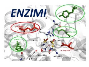 ENZIMI KLASIFIKACIJA ENZIMA Hemijska priroda enzima Enzimi su