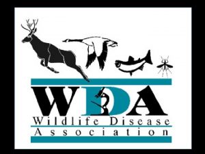 What is WDA Human Health WDA is all