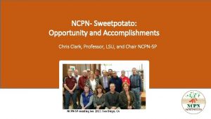 NCPN Sweetpotato Opportunity and Accomplishments Chris Clark Professor