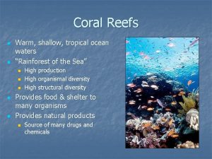 Coral Reefs n n Warm shallow tropical ocean