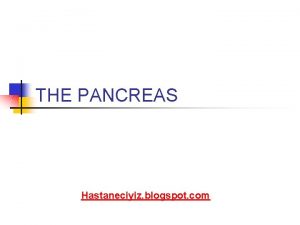 THE PANCREAS Hastaneciyiz blogspot com I IntroductionGeneral Information