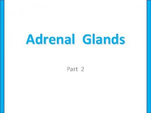 Adrenal Glands Part 2 Control of Adrenal Cortical