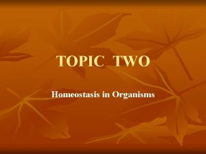 TOPIC TWO Homeostasis in Organisms A Homeostasis n