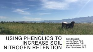 USING PHENOLICS TO INCREASE SOIL NITROGEN RETENTION Katie