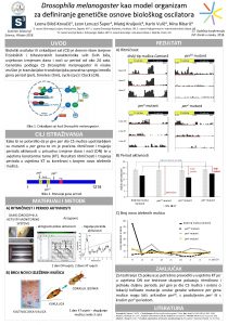 Drosophila melanogaster kao model organizam za definiranje genetike