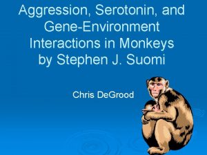 Aggression Serotonin and GeneEnvironment Interactions in Monkeys by