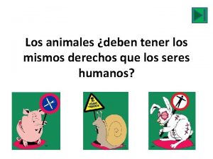 Los animales deben tener los mismos derechos que