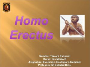 Homo Erectus Nombre Tamara Esquivel Curso 3 ro