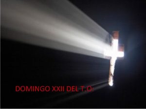 DOMINGO XXI DEL T O XIX DEL T