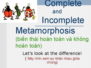 Complete and Incomplete Metamorphosis bin thi hon ton