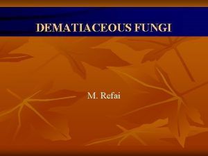 M Refai Dematiaceous Fungi n n n The