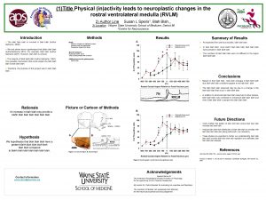 1Title Physical inactivity leads to neuroplastic changes in