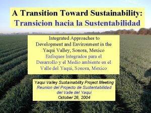 A Transition Toward Sustainability Transicion hacia la Sustentabilidad